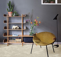 AW Masquerade Moretta